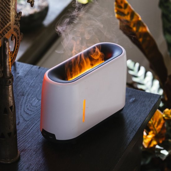 Electric fireplace - Visual fire of steam - Click Image to Close