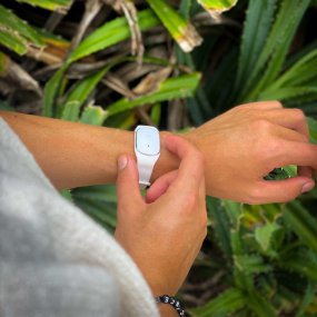 Mosquito bracelet with ultrasound