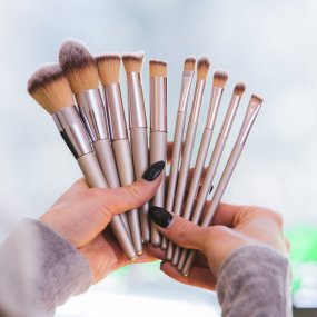 Professional makeup brushes (10 pcs)