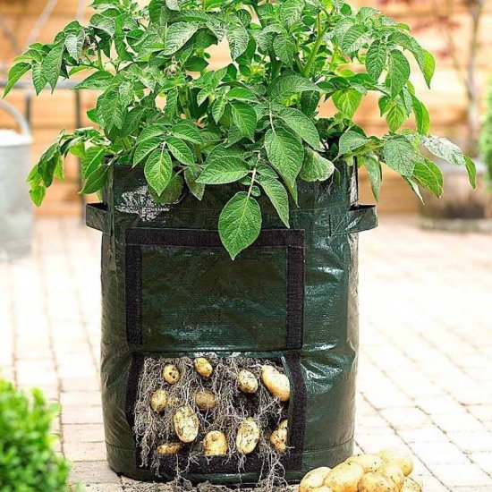 Planting Grow Bag - Click Image to Close