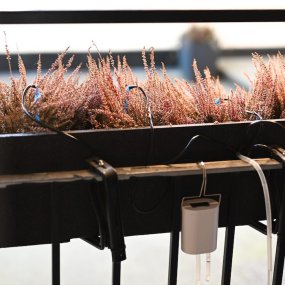 Automatic flower waterer