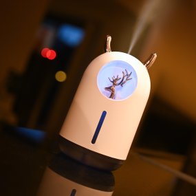 Humidifier with built in light
