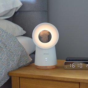 Night light with humidifier