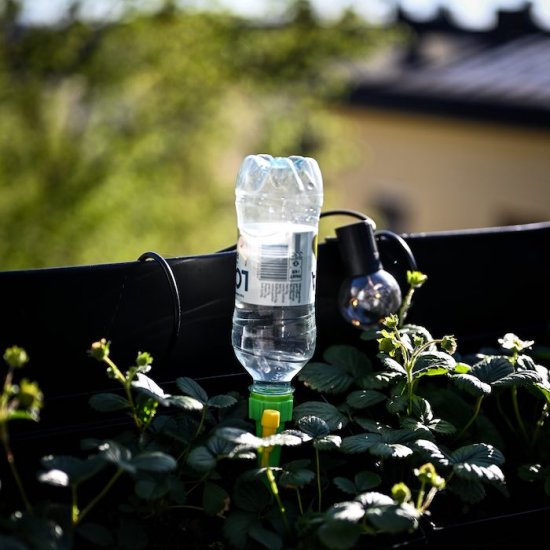 Automatic Flower Watering (6-pack) - Click Image to Close