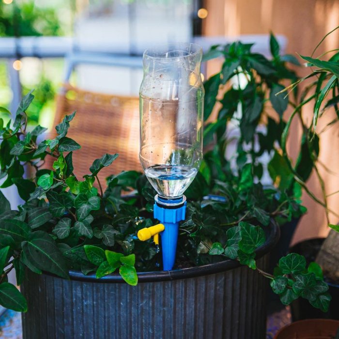 Automatic Flower Watering (6pack)