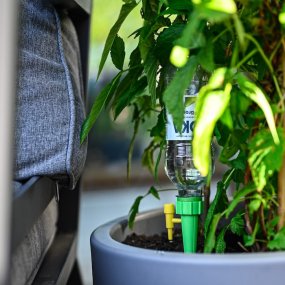 Automatic Flower Watering (6-pack)
