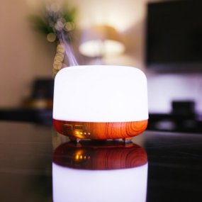 Humidifier with LED lighting