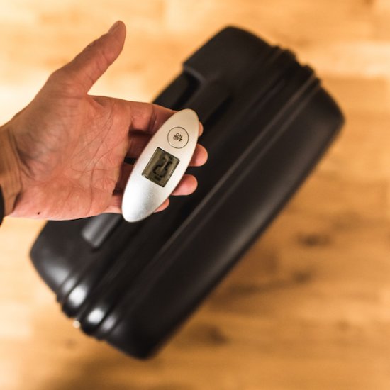 Digital luggage scale - Up to 40 kg - Click Image to Close