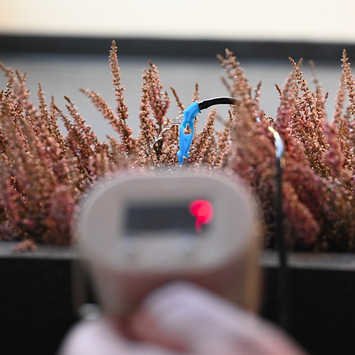 Automatic flower waterer