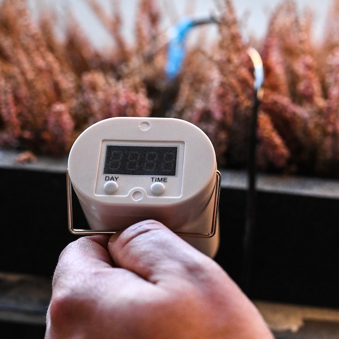 Automatic flower waterer