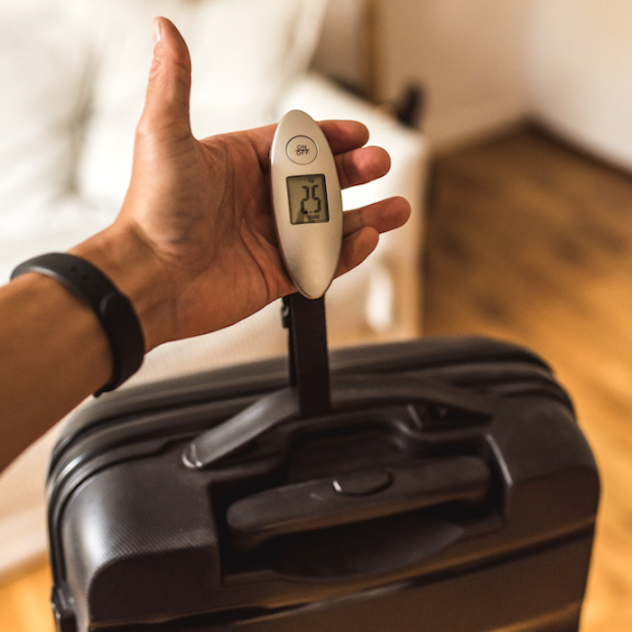 Digital luggage scale - Up to 40 kg - Click Image to Close