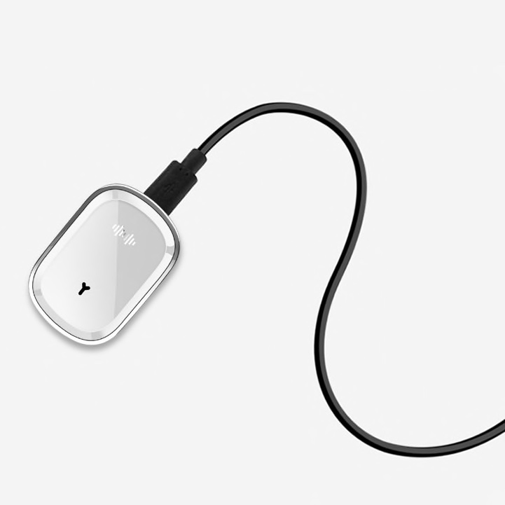 Mosquito bracelet with ultrasound