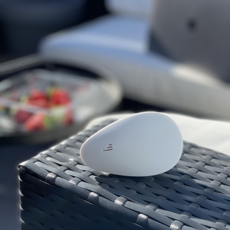 Insect and pest repellent (Ultra-sound-device)