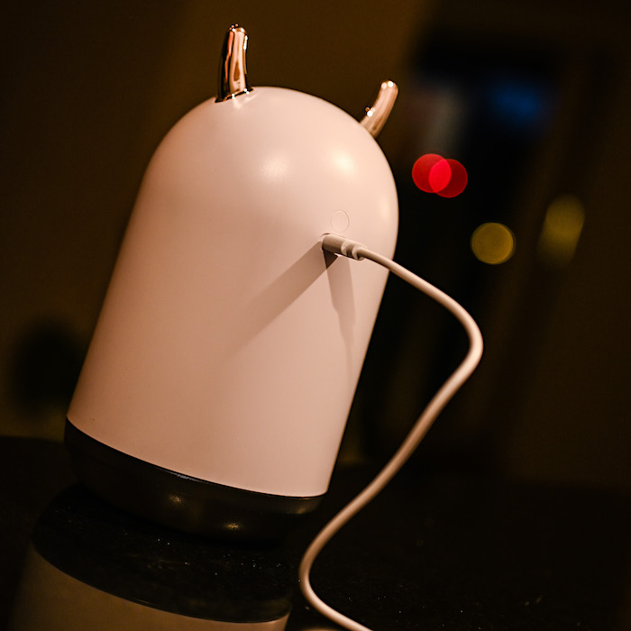 Humidifier with built in light