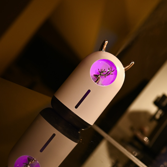Humidifier with built in light