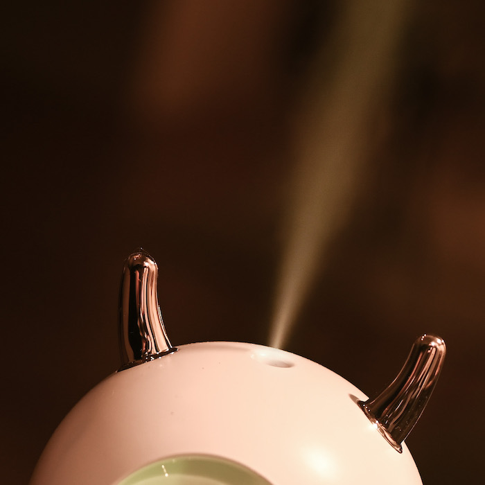 Humidifier with built in light
