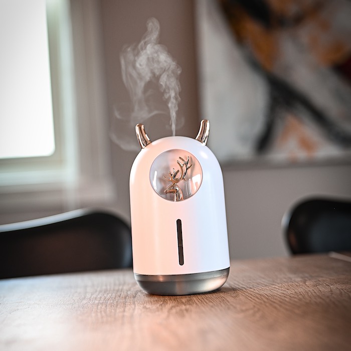 Humidifier with built in light