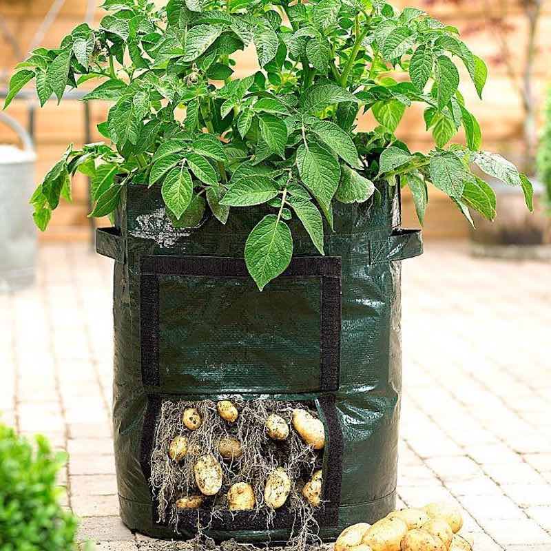 Planting Grow Bag