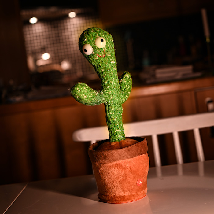 Dancing Cactus with USB