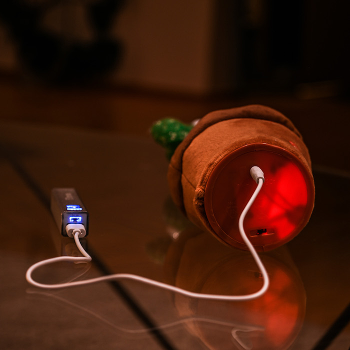 Dancing Cactus with USB