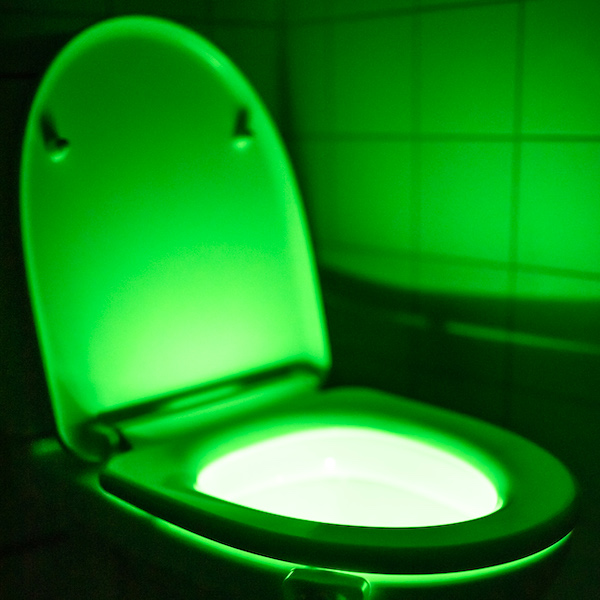 LED lighting for the toilet