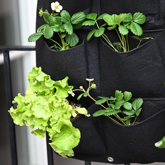 Cultivation wall in fabric