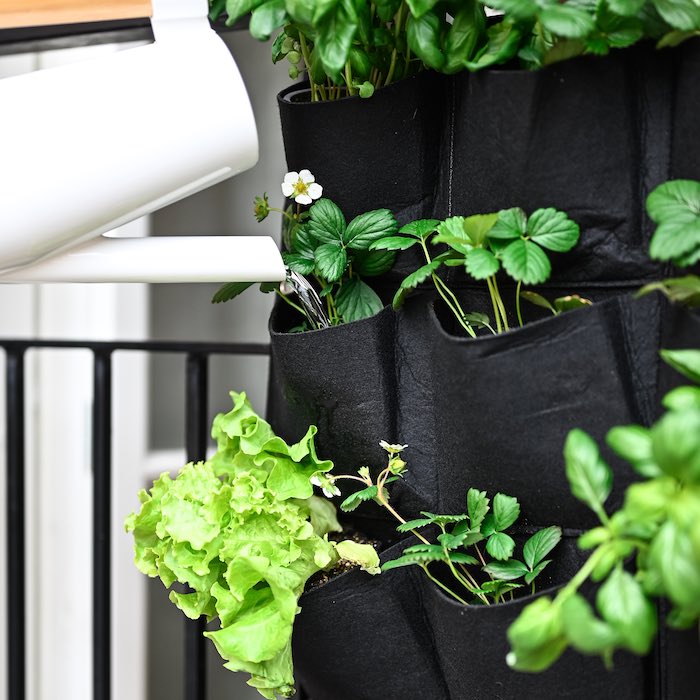 Cultivation wall in fabric
